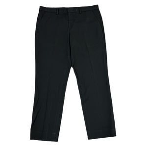 Express dress pants